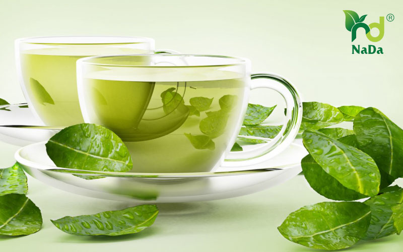 tinh dầu trà xanh nguyên chất Nada Oils