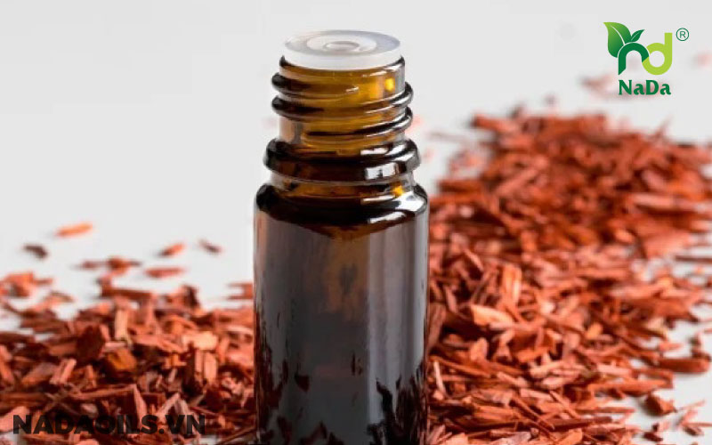 Công dụng tinh dầu đàn hương: bí mật đỉnh cao của sức khỏe